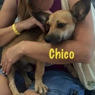 Chico-name