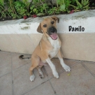 Danilo-name