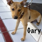 Gary-name