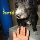 Grettel-name