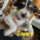 Jimmy-name