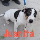 Juanita-name-1