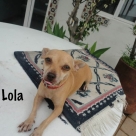 Lola-name
