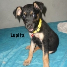 Lupita-name