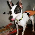 Mikey-name