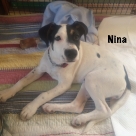 Nina-name-now