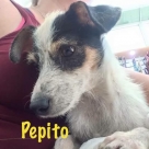 Pepito-name