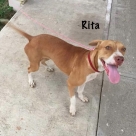 Rita-Name