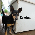 Romina-name