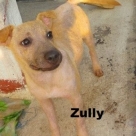 zully-name